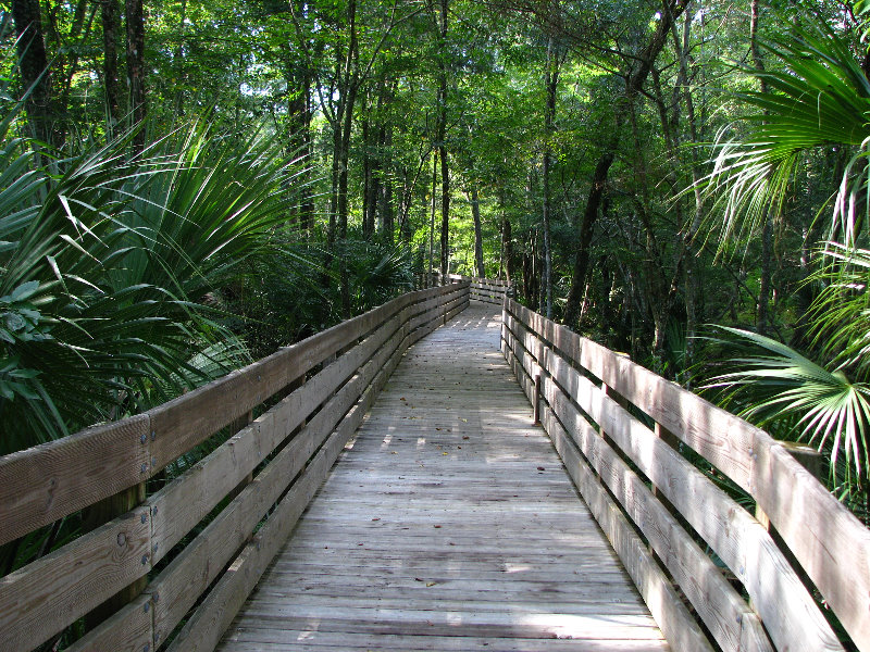 Jay B Starkey Wilderness Park In Pasco County Florida